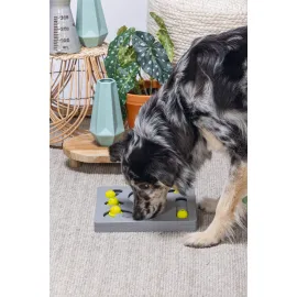 Beeztees Köpek Zeka Geliştirme Oyuncağı, 28X28X4,5Cm