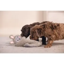 Beeztees Yavru Köpek Oyuncağı, Peluş, Gri, 37X28X4Cm