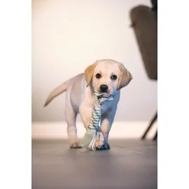 Beeztees Yavru Köpek Oyuncağı, İp Ve Peluş, Yeşil/gri, 25X4X4Cm