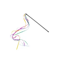 Beeztees Kedi Oltası, Kurdelalar,