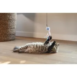 Beeztees Kedi Oltası, Zilli, Tüylü Top Ve Kurdelalar,