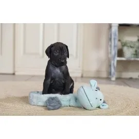 Beeztees Yavru Köpek Oyuncağı, Dragon, Peluş, Gri, 45X24,5X6Cm