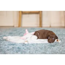 Beeztees Yavru Köpek Oyuncağı, Unicorn, Peluş, Beyaz, 33X25X14Cm