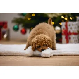 Beeztees Yavru Köpek Oyuncağı, Sesli, Kemik, Peluş, Beyaz, 21X10,5X5Cm