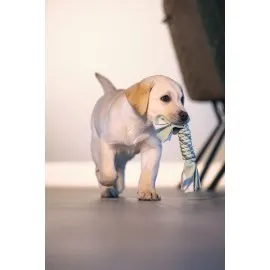 Beeztees Yavru Köpek Oyuncağı, İp Ve Peluş, Yeşil/gri, 25X4X4Cm