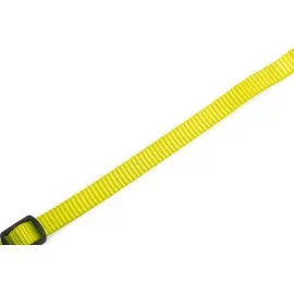 Beeztees Yavru Köpek Boyun Tasması, Çeşitli Renklerde, 17-25Cm, 10Mm