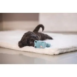 Beeztees Köpek Oyuncağı, Peluş, Turkuaz, 16X18X8,5Cm