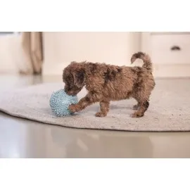 Beeztees Yavru Köpek Oyuncağı, Top, Peluş, Mavi, 10Cm