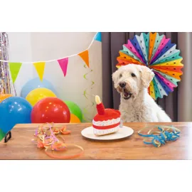 Beeztees Köpek Oyuncağı, Pasta Dilimi, Peluş, Renkli, 19X14X11Cm