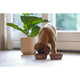 Beeztees Yavru Köpek Mama Su Kabı, Paslanmaz Çelik, Kaymaz Taban, Kiremit, 13Cm, 470Ml