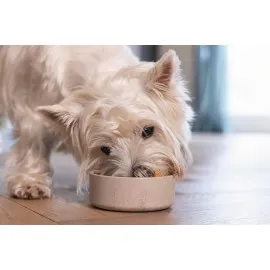 Beeztees Dbl Köpek Mama Su Kabı, Bambu, Bej, 12Cm, 300Ml