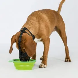 Trixie Esnek Silikon Köpek Ağızlığı S