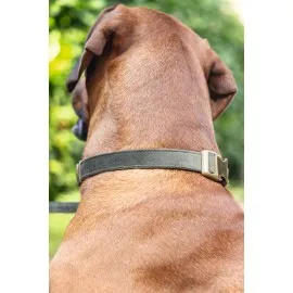 Beeztees Dbl Köpek Tasması, Kadife, Nefti, 48-70Cm, 25Mm