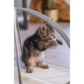 Beeztees Yavru Kedi Oyun Parkı, 40x40x33cm