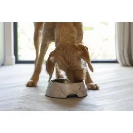 Beeztees Dbl Köpek Mama Su Kabı, Mat Altın Rengi Paslanmaz Çelik, Bej Mermer Görünümlü, 22Cm, 700Ml