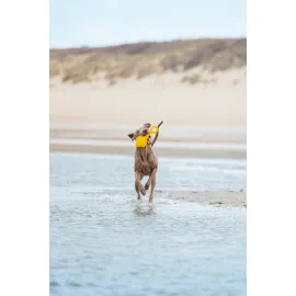 Beeztees Köpek Oyuncağı, Yüzen, Şamandıra, Tpr, Sarı, 28X13X8Cm