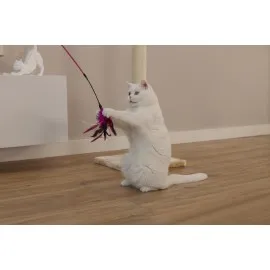 Beeztees Kedi Oltası, Tüylü, Çeşitli Renklerde,