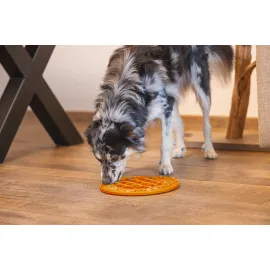 Beeztees Yavru Köpek Mama Yeme Oyuncağı, Daire Şeklinde, Silikon, Turuncu, 30Cm