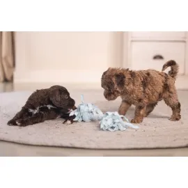 Beeztees Yavru Köpek Oyuncağı, Çift Düğümlü Diş İpi, Peluş, Mavi, 20X6X4,5Cm