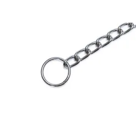 Beeztees Köpek Boyun Tasması, Zincir, 50X1X0,30Cm