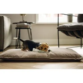 Beeztees Yavru Köpek Oyuncağı, İp Ve Peluş, Yeşil/gri, 25X4X4Cm