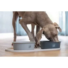 Beeztees Dbl Köpek Mama Su Kabı, Mat Siyah Paslanmaz Çelik, 20Cm, 1,9L