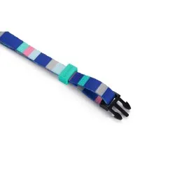 Beeztees Köpek Boyun Tasması, Renkli Kaıln Çizgiler, 20-30Cm, 10Mm