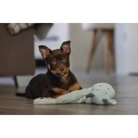 Beeztees Yavru Köpek Oyuncağı, Dragon, Peluş, Gri, 45X24,5X6Cm