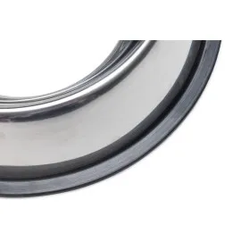 Beeztees Köpek Mama Su Kabı, Paslanmaz Çelik, Kaymaz, 22Cm, 1,6L