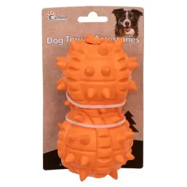 Eastland Ödül Hazneli Dikenli Yer Fıstığı 15Cm