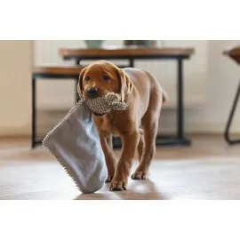 Beeztees Yavru Köpek Oyuncağı, Peluş, Gri, 37X28X4Cm