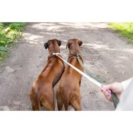 Beeztees Dbl Köpek Tasması, Kadife, Nefti, 48-70Cm, 25Mm