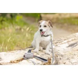 Beeztees Köpek Dışkı Toplama Poşeti Taşıma Çantası, Gri, 8X5X5Cm