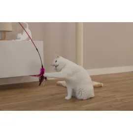 Beeztees Kedi Oltası, Tüylü, Çeşitli Renklerde,