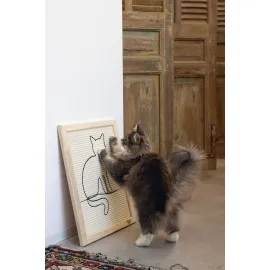 Beeztees Dbl Kedi Tırmalama Tahtası, 50X40X2Cm