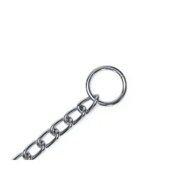 Beeztees Köpek Boyun Tasması, Zincir, 70X1X0,30Cm