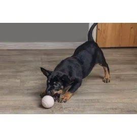 Beeztees Yavru Köpek Oyuncağı, Top, Kauçuk, Pembe, 6Cm