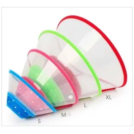 Köpek Ameliyat Plastik Yakalık Xl