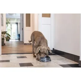 Beeztees Dbl Köpek Mama Su Kabı, Mat Siyah Paslanmaz Çelik, Siyah Mermer Görünümlü, 22Cm, 700Ml