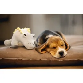 Beeztees Yavru Köpek Oyuncağı, Dinazor, Peluş, Yeşil, 19X14,5X9Cm