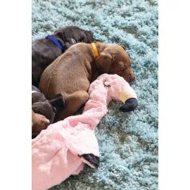 Beeztees Yavru Köpek Oyuncağı, Flamingo, Peluş, Pembe, 43X24X4Cm