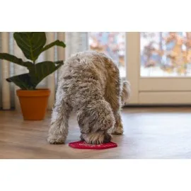 Beeztees Yavru Köpek Yaş Mama Yeme Oyuncağı, Sekizgen Şeklinde, Silikon, Pembe, 23X20Cm