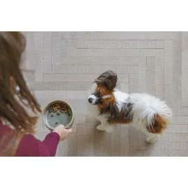 Beeztees Dbl Köpek Mama Su Kabı, Seramik, Yeşil, 13,5Cm, 500Ml