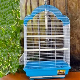 Kafes Renkli 34,5X28X54,5