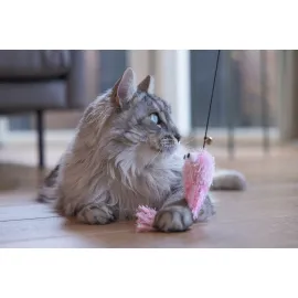 Beeztees Kedi Oltası, Zilli, Peluş Ahtapot,