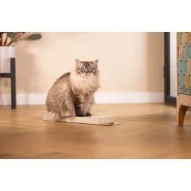 Beeztees Kedi Karton Tırmalama, Bej, 45cm