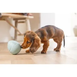 Beeztees Yavru Köpek Oyuncağı, Ödül Ve Oyun, Yumurta, Kauçuk, Turkuaz, 6X6X8Cm
