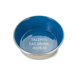 Beeztees Köpek Mama Su Kabı, Paslanmaz Çelik, İçi Mavi, 20Cm, 1,9L