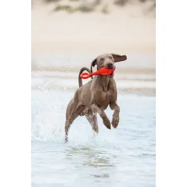 Beeztees Köpek Oyuncağı, Yüzen, Şamandıra, Tpr, Kırmızı, 28X13X8Cm