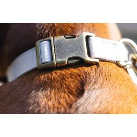 Beeztees Dbl Köpek Tasması, Kadife, Gri, 48-70Cm, 25Mm